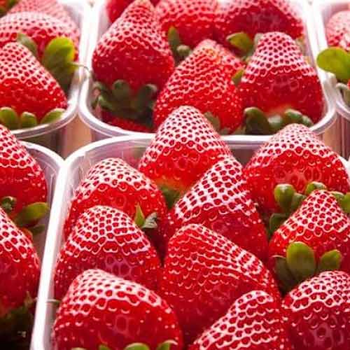 Truskawka Fortuna interface.art zdjęcie 1 Truskawka Fortuna interface.image 1 interface.art 9836