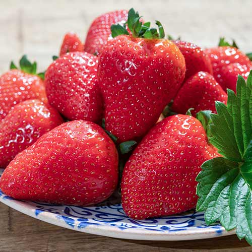 Truskawka Lambada interface.image 1 interface.art 5405