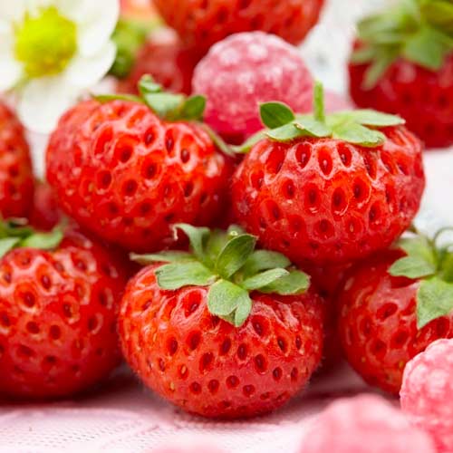 Truskawka Mieze Schindler interface.image 1 interface.art 5406