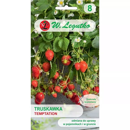 Truskawka Temptation interface.image 1 interface.art 69548