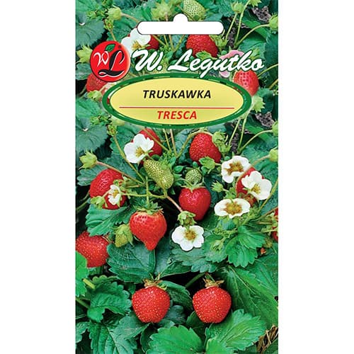 Truskawka Tresca interface.image 1 interface.art 86914