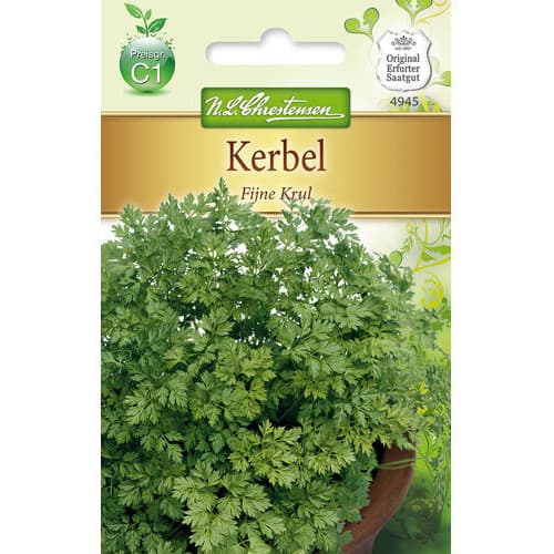 Trybula Fijne Krul interface.image 1 interface.art 78854