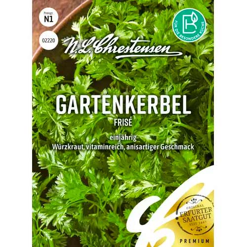 Trybula Frise interface.image 1 interface.art 50044