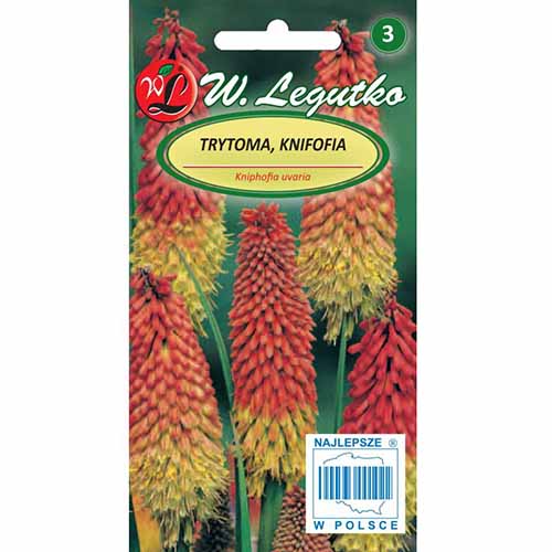 Trytoma (Knifofia) czerwono-żółta Legutko interface.image 1 interface.art 96762