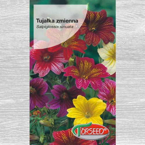 Tujałka zmienna, mieszanka interface.image 1 interface.art 77591