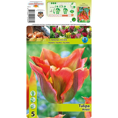 Tulipan Artist interface.image 1 interface.art 68401