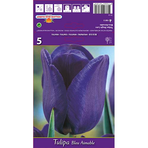 Tulipan Triumph Blue Aimable interface.image 1 interface.art 67705