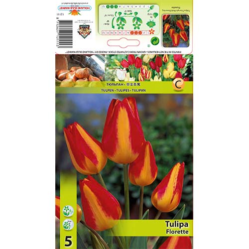 Tulipan Florette interface.image 1 interface.art 70305