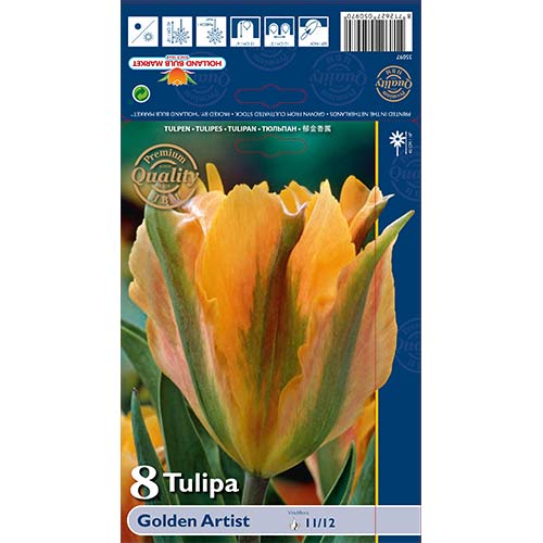 Tulipan Viridiflora Golden Artist interface.image 1 interface.art 68032