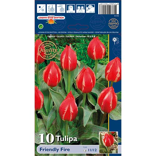 Tulipan Greiga Friendly Fire interface.image 1 interface.art 70264