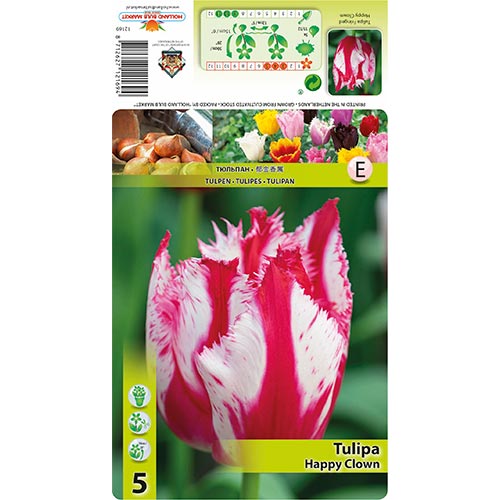 Tulipan Happy Clown interface.image 1 interface.art 68398