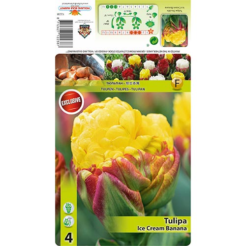 Tulipan Ice Cream Banana interface.image 1 interface.art 68402