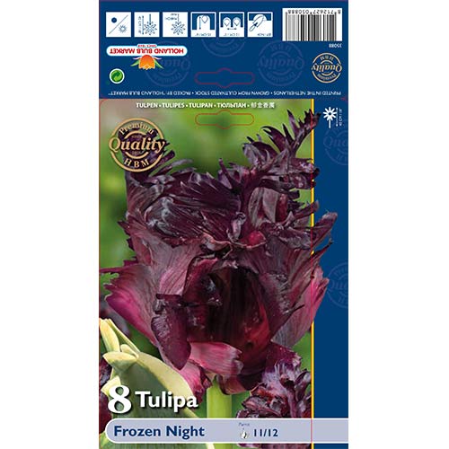 Tulipan papuzi Frozen Night interface.image 1 interface.art 67859