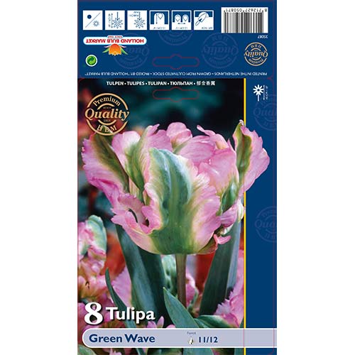 Tulipan papuzi Green Wave interface.image 1 interface.art 67720