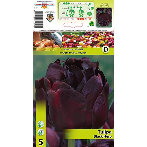 Tulipan pełny Black Hero interface.image 1 interface.art 67455