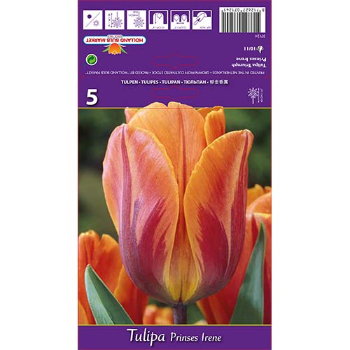 Tulipan Prinses Irene interface.image 1 interface.art 67806