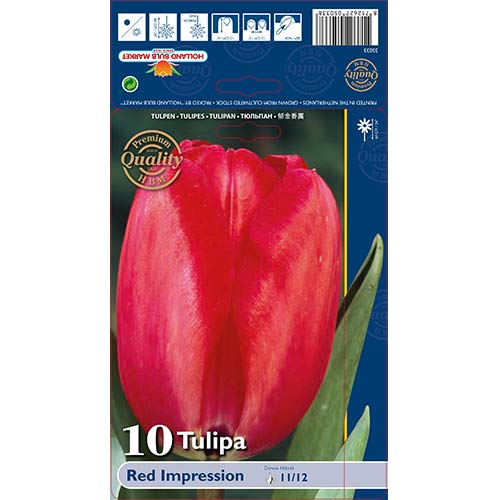 Tulipan Darwina Red Impression interface.image 1 interface.art 67813
