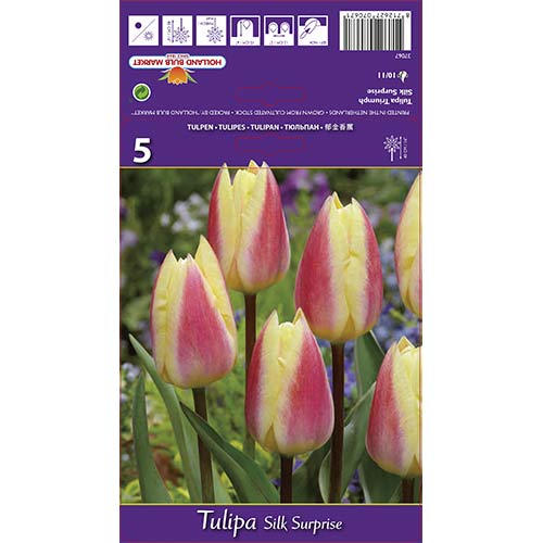 Tulipan Triumph Silk Surprise interface.image 1 interface.art 68117