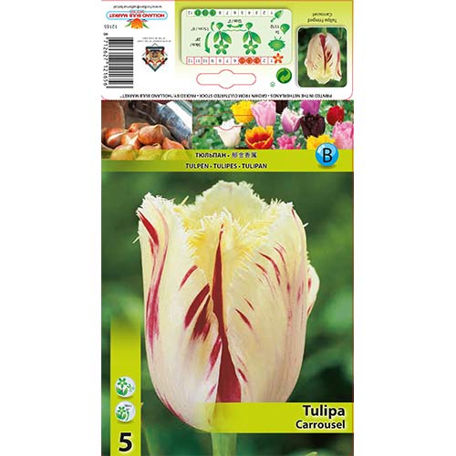 Tulipan strzępiasty Carrousel interface.image 1 interface.art 70298