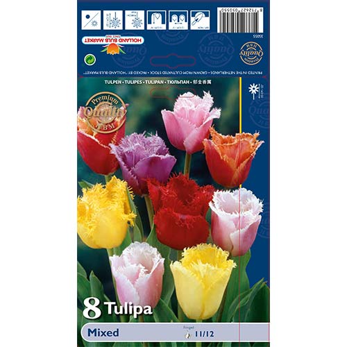 Tulipan strzępiasty Fringed, mix kolorów interface.image 1 interface.art 67858