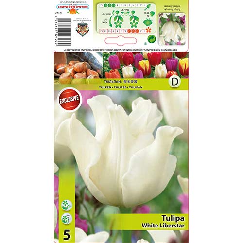 Tulipan Triumph White Liberstar interface.image 1 interface.art 67848
