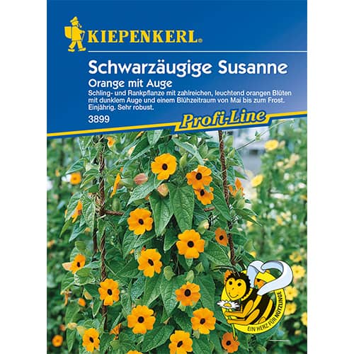 Tunbergia Susanne Orange mit Auge interface.image 1 interface.art 86311