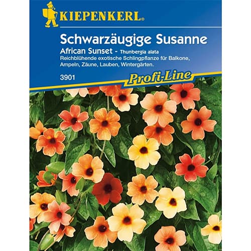 Tunbergia Susanne African Sunset interface.art zdjęcie 1 Tunbergia Susanne African Sunset interface.image 1 interface.art 86309