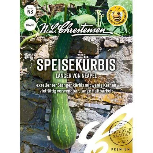 Dynia Langer von Neapel interface.image 1 interface.art 96496