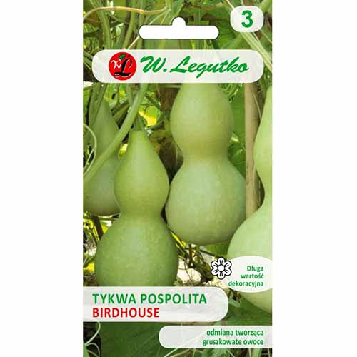 Tykwa pospolita Birdhouse Legutko interface.image 1 interface.art 96763