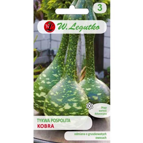 Dynia ozdobna (Lagenaria) Kobra interface.image 1 interface.art 69637