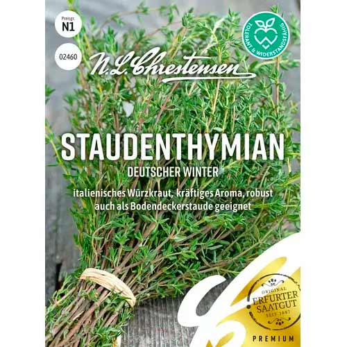 Tymianek wieloletni Deutscher Winter interface.image 1 interface.art 50056