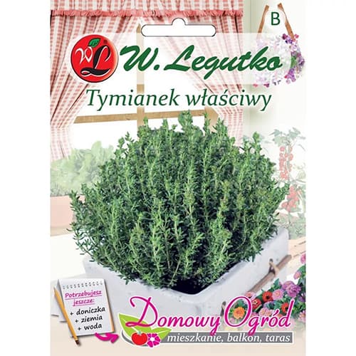 Tymianek właściwy Słoneczko interface.image 1 interface.art 69657