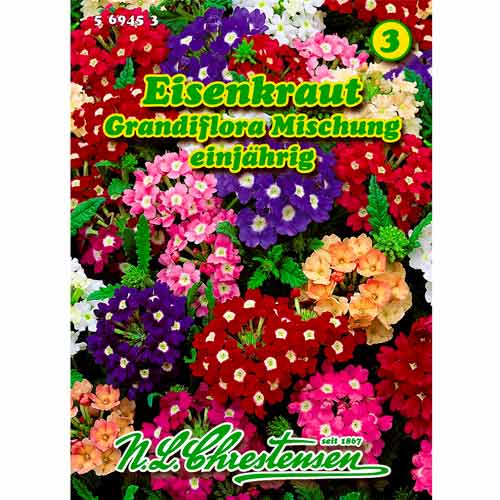 Werbena, mix kolorow interface.image 1 interface.art 50035