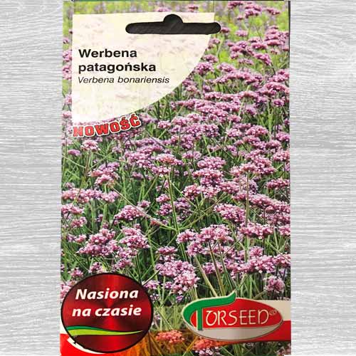 Werbena patagońska interface.art zdjęcie 1 Werbena patagońska interface.image 1 interface.art 77594