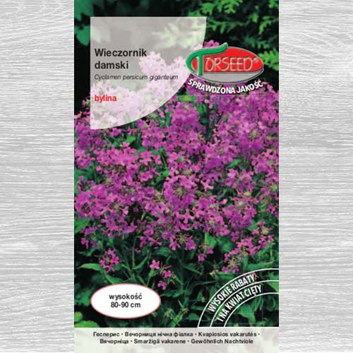 Wieczornik damski, mieszanka interface.image 1 interface.art 77595