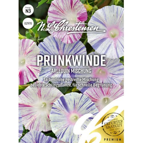 Wilec (Ipomoea) Arlequin, mix kolorow interface.image 1 interface.art 87815