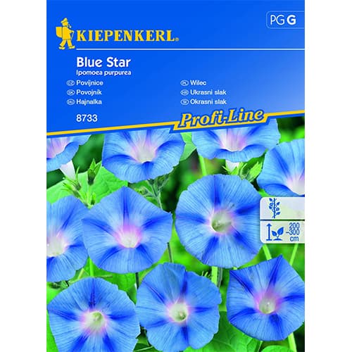 Wilec (Ipomoea) Blue Star interface.image 1 interface.art 86268