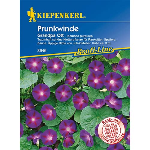 Wilec (Ipomoea) Grandpa Ott interface.image 1 interface.art 87256