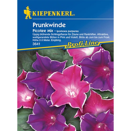 Wilec (Ipomoea) Picotee, mieszanka Kiepenkerl interface.image 1 interface.art 87257