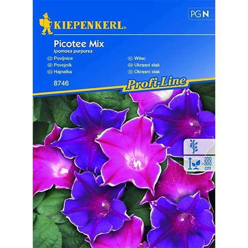 Wilec (Ipomoea) Picotee, mix kolorow interface.image 1 interface.art 86270