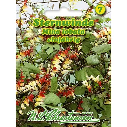 Wilec klapowany (Mina) interface.image 1 interface.art 96440