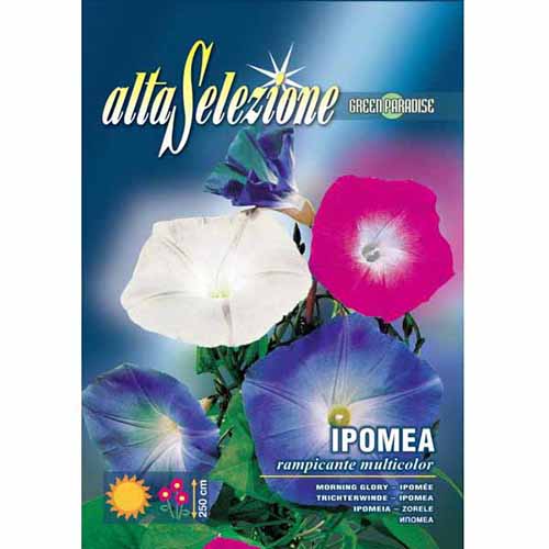 Wilec pnący (Ipomoea), mieszanka kolorów Morami interface.image 1 interface.art 96345