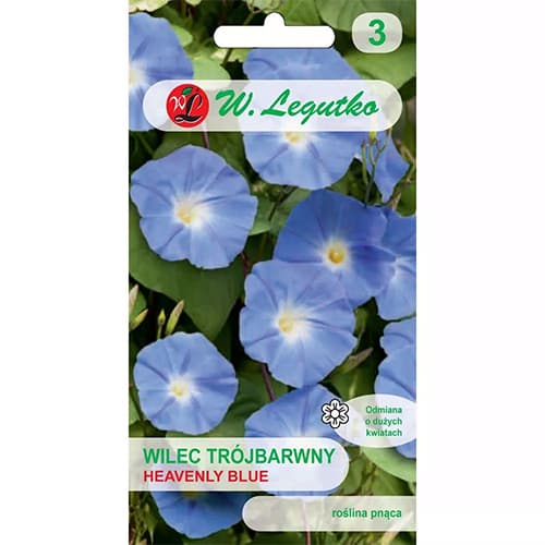 Wilec (Ipomoea) Heavenly Blue interface.image 1 interface.art 78595