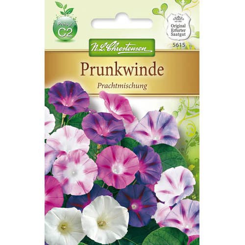 Wilec (Ipomoea), mix kolorow interface.art zdjęcie 1 Wilec (Ipomoea), mix kolorow interface.image 1 interface.art 78983