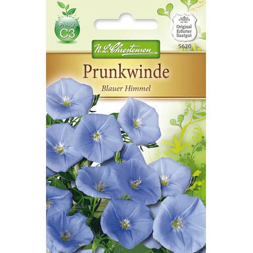 Wilec (Ipomoea) Blauer Himmel interface.image 1 interface.art 78984