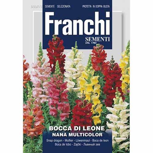 Wyżlin większy (Lwia paszcza) niski, mieszanka kolorów Morami interface.image 1 interface.art 87124