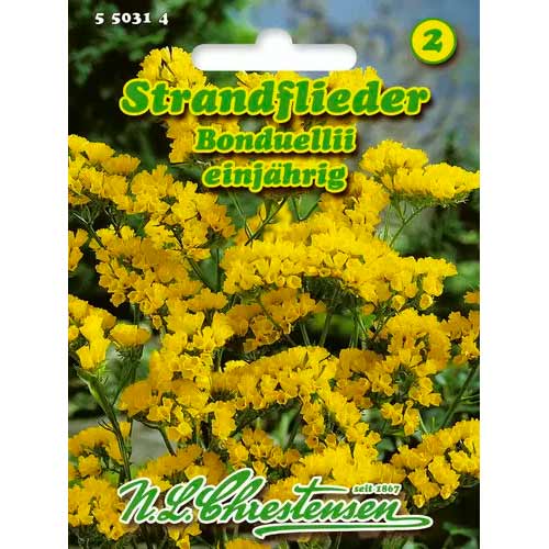 Zatrwian wrebny Bonduellii interface.image 1 interface.art 50031