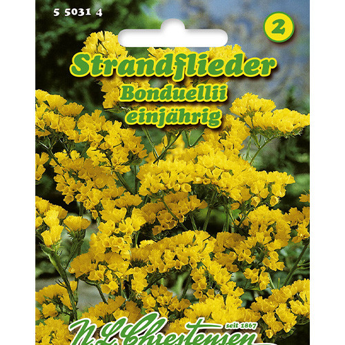 Zatrwian wrębny Bonduellii interface.image 1 interface.art 86164