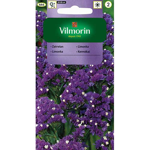 Zatrwian wrębny różowo lawendowo niebieski Vilmorin interface.image 1 interface.art 77693