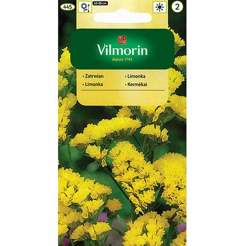 Zatrwian wrębny żółty Vilmorin interface.image 1 interface.art 77694